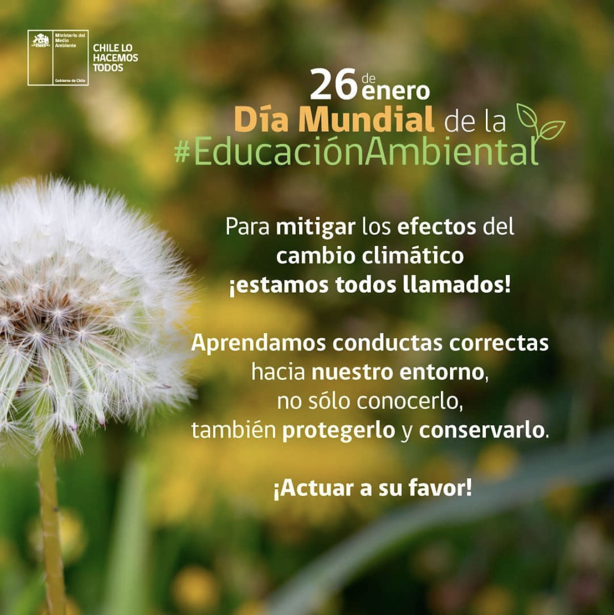 D A Mundial De La Educaci N Ambiental Educaci N Ambiental Y