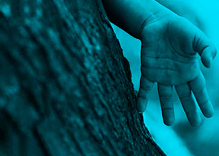 Foto mano de niño tocando un árbol