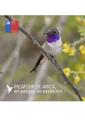 Libro Picaflor de Arica en peligro de extinción