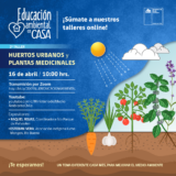 Gráfica taller huertos urbanos y plantas medicinales