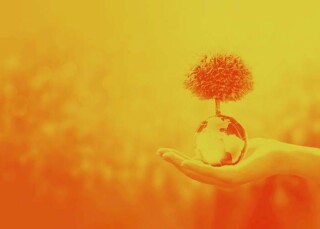 Foto mano tomando un mundo con árbol