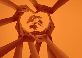 Foto varias manos creando un corazón con planta