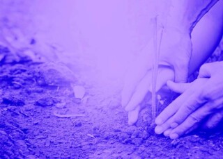 Foto manos plantando una planta